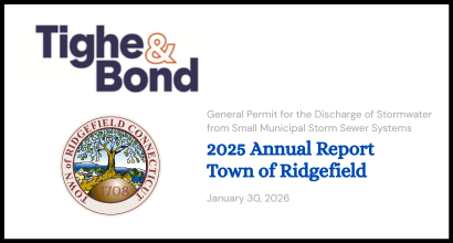 ms4 2025 report 410x220